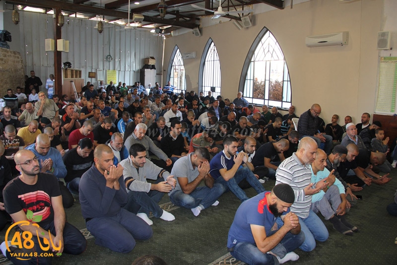 ra2ed fat7iya (14).JPG